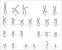 m karyotype